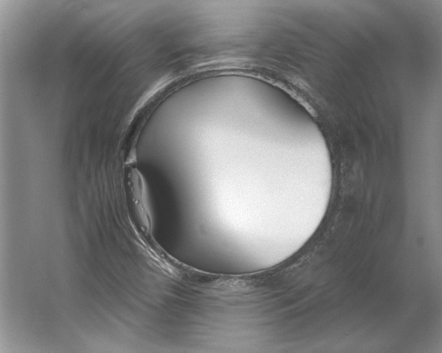 X0000064731450200603031629