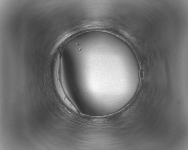 X0000064731453200603031629