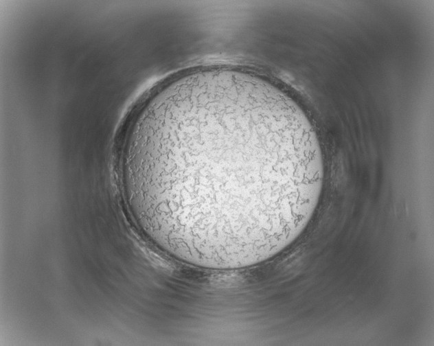 X0000064731454200603031629