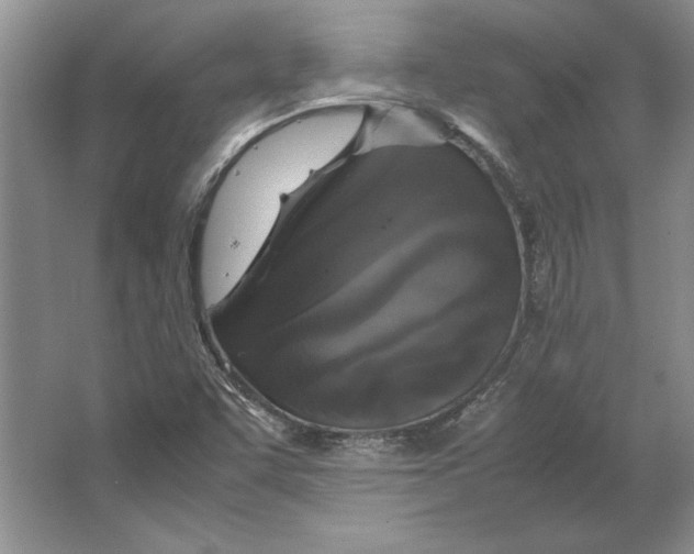 X0000064731455200603031629