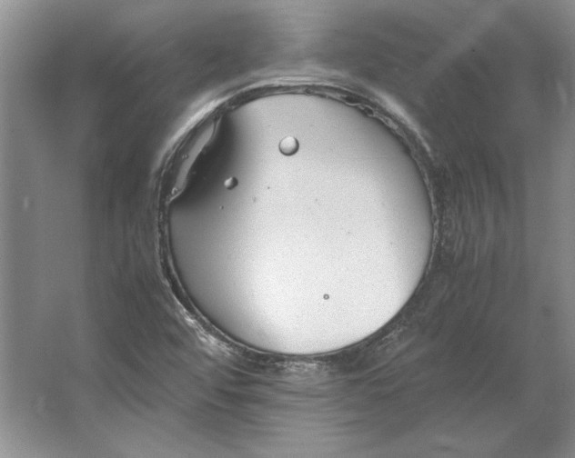 X0000064731456200603031629