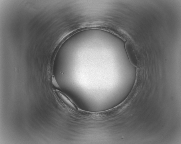 X0000064731457200603031629