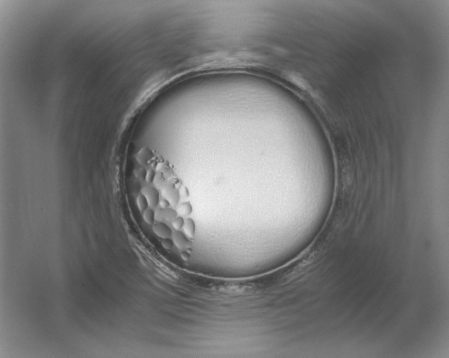 X0000064731459200603031629