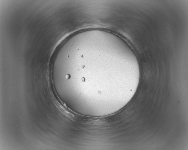 X0000064731460200603031629