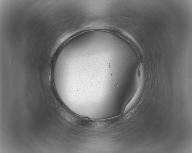 X0000064731461200603031629