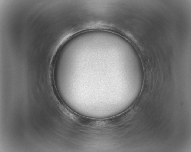 X0000064731463200603031629