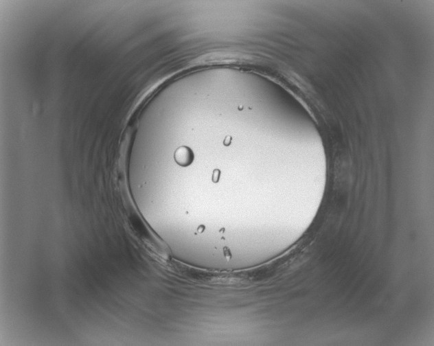 X0000064731465200603031629