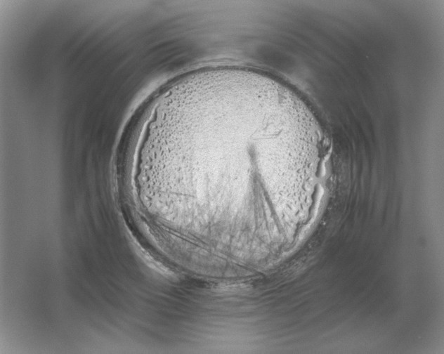 X0000064731466200603031629