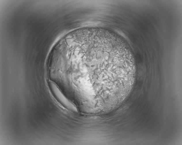 X0000064731467200603031629