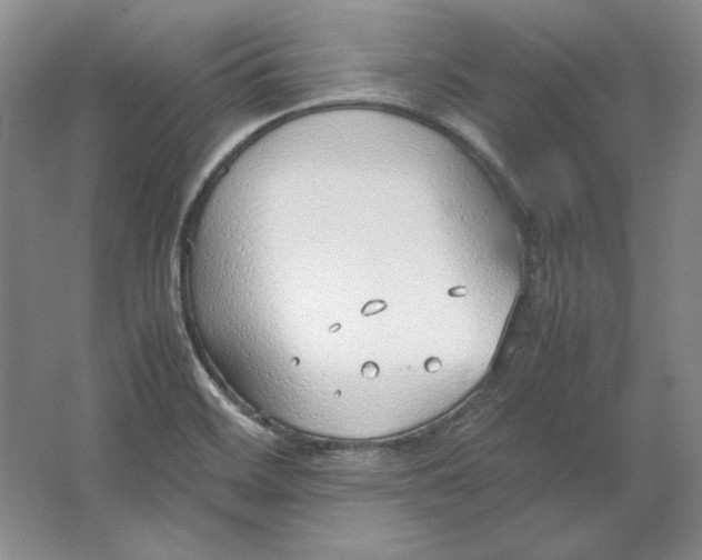 X0000064731468200603031629