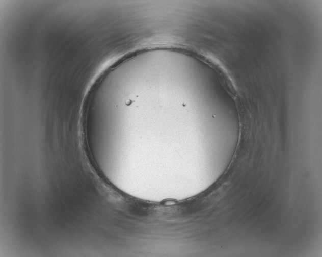 X0000064731469200603031629