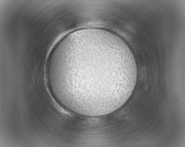 X0000064731470200603031629