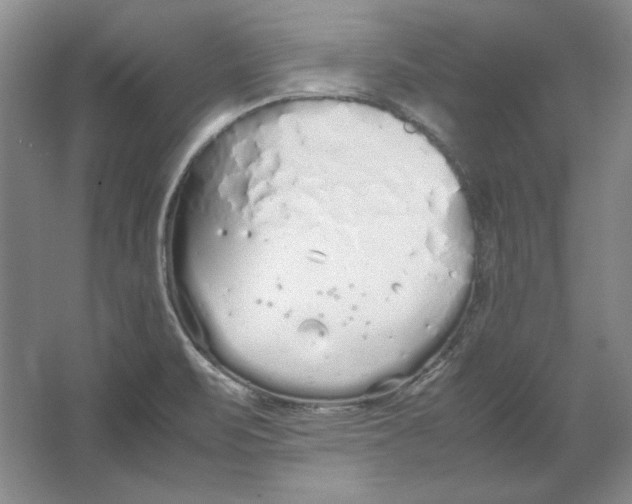 X0000064731471200603031629