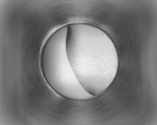 X0000064731472200603031629