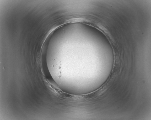 X0000064731473200603031629