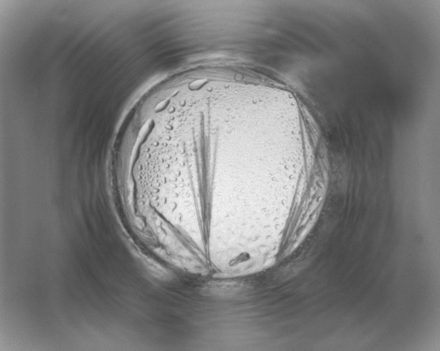 X0000064731474200603031629