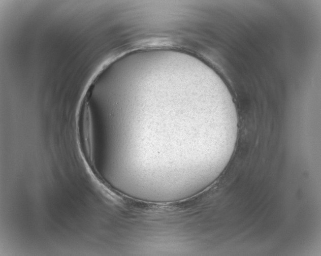 X0000064731475200603031629