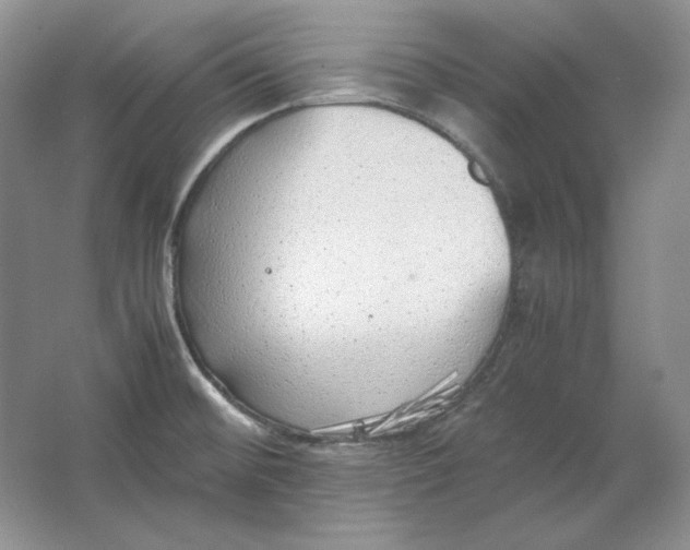 X0000064731476200603031629