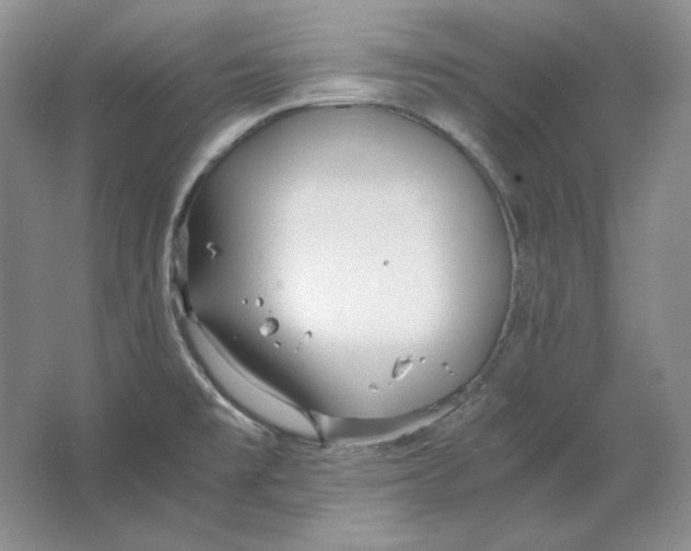 X0000064731477200603031629