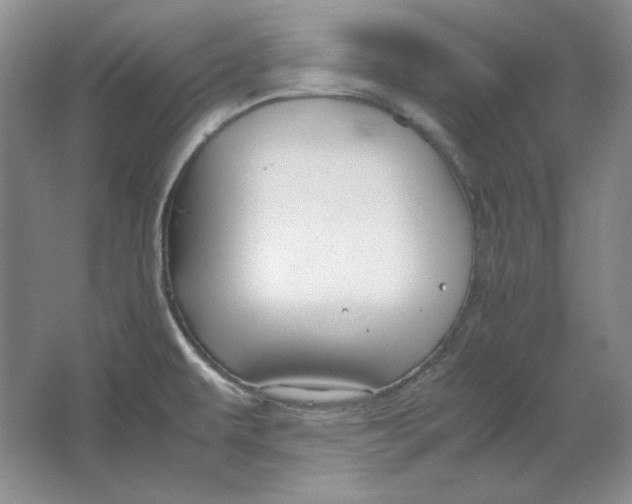 X0000064731479200603031629