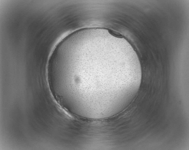 X0000064731480200603031629