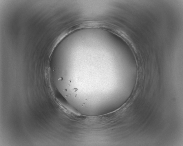 X0000064731481200603031629