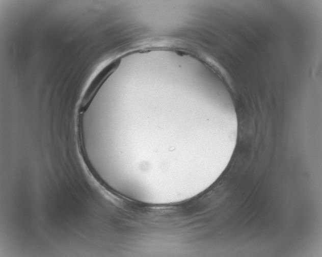 X0000064731483200603031629