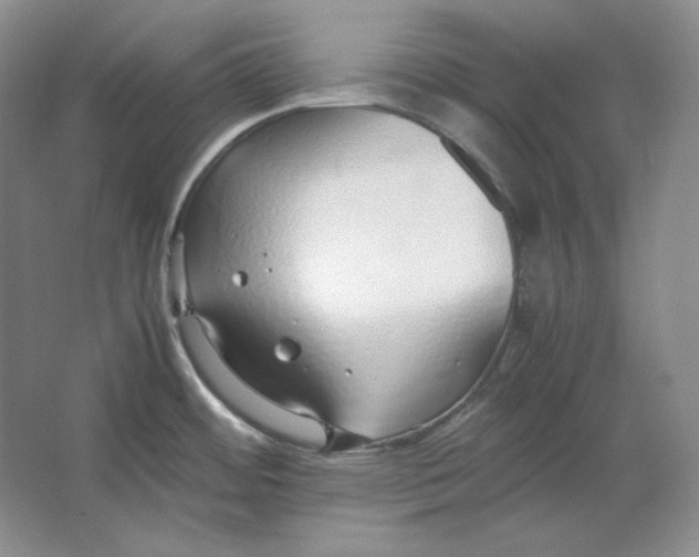 X0000064731484200603031629