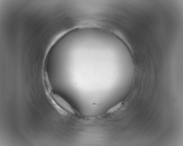 X0000064731485200603031629