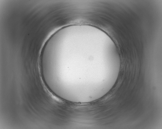 X0000064731486200603031629