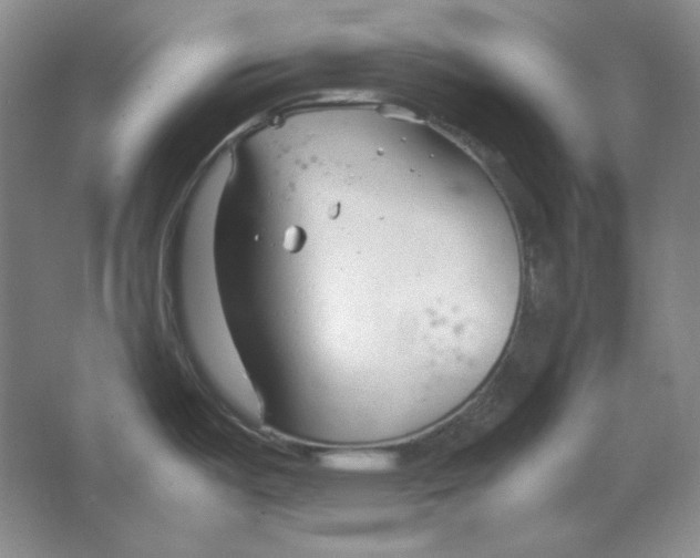 X0000064731487200603031629