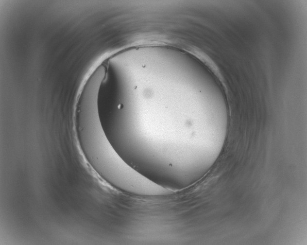 X0000064731488200603031629