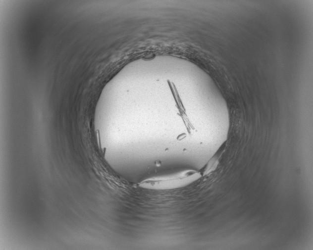 X0000064731489200603031628