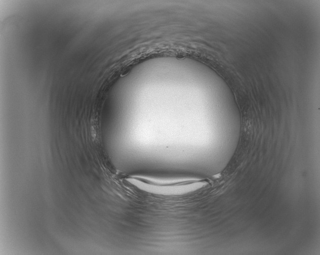 X0000064731490200603031628