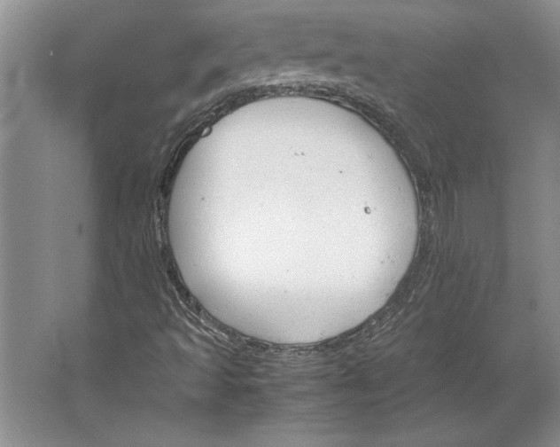 X0000064731493200603031628