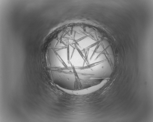 X0000064731494200603031628