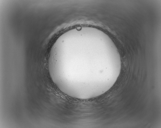 X0000064731495200603031628