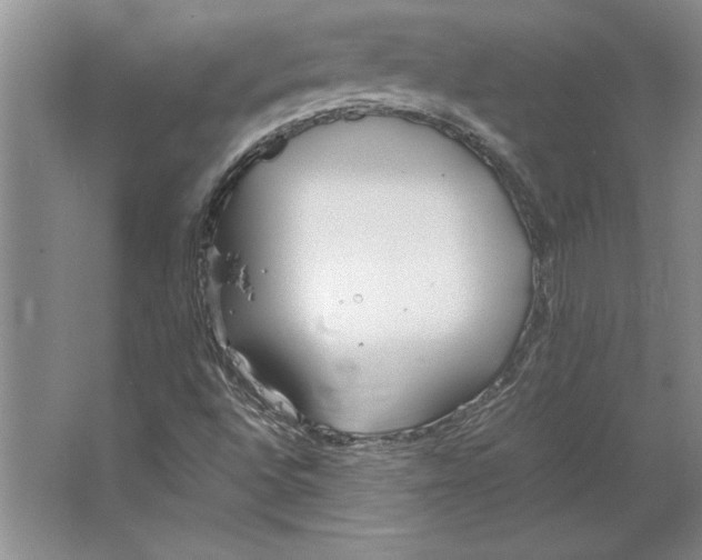 X0000064731496200603031628