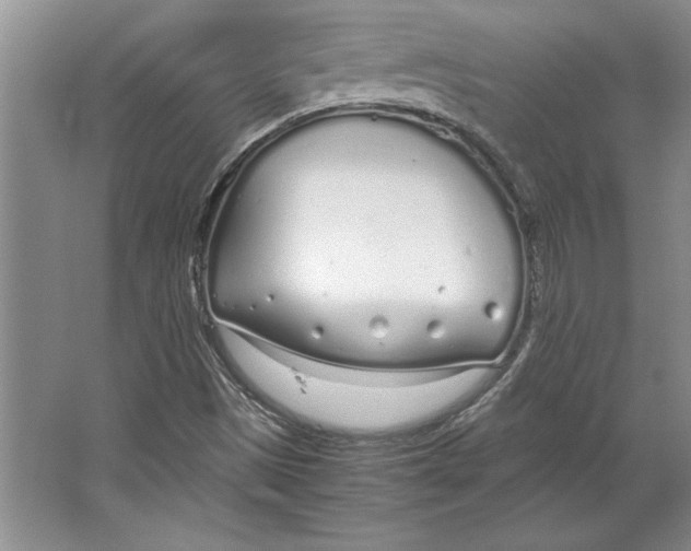 X0000064731497200603031628