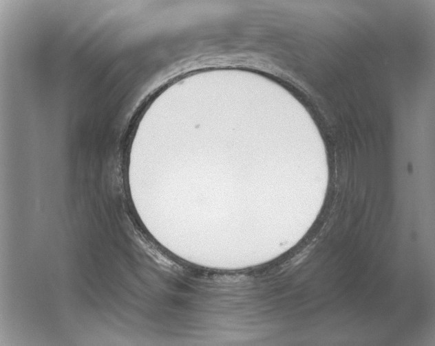 X0000064731498200603031628