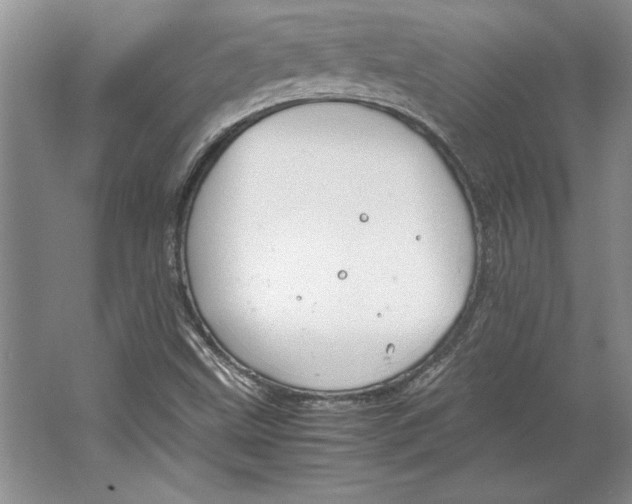 X0000064731499200603031628