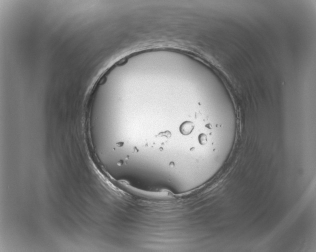 X0000064731500200603031628