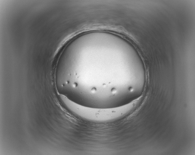 X0000064731501200603031628