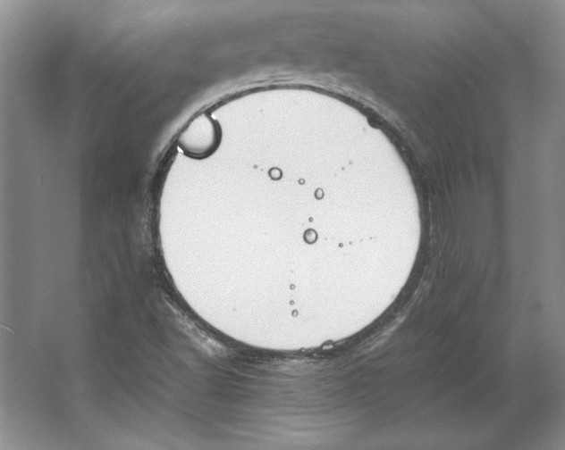 X0000064731502200603031628