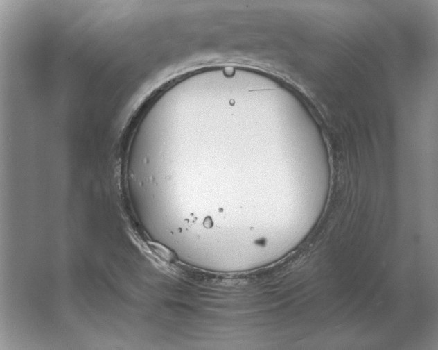 X0000064731503200603031628