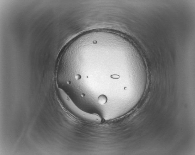 X0000064731505200603031628