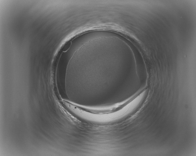 X0000064731506200603031628