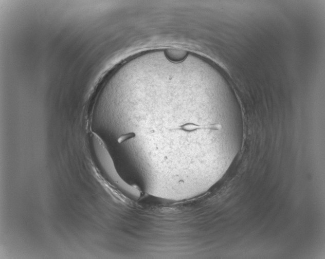 X0000064731507200603031628