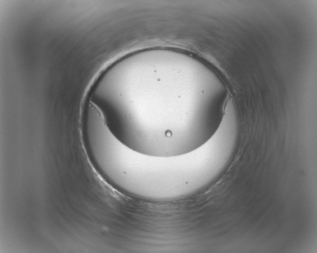 X0000064731508200603031628