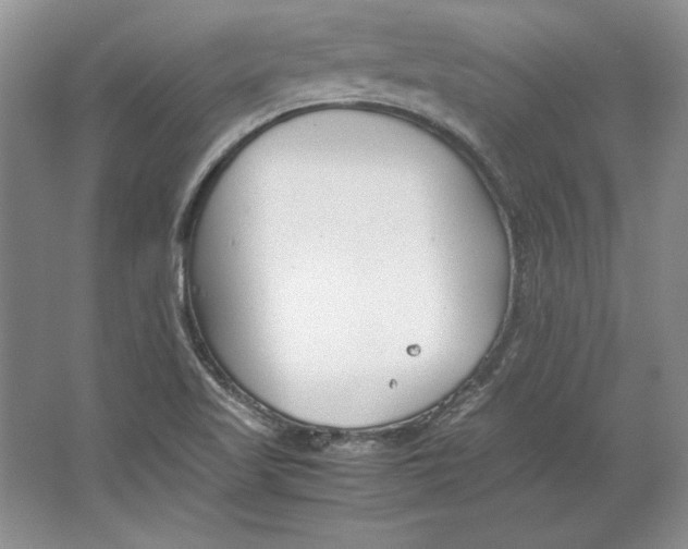 X0000064731509200603031628